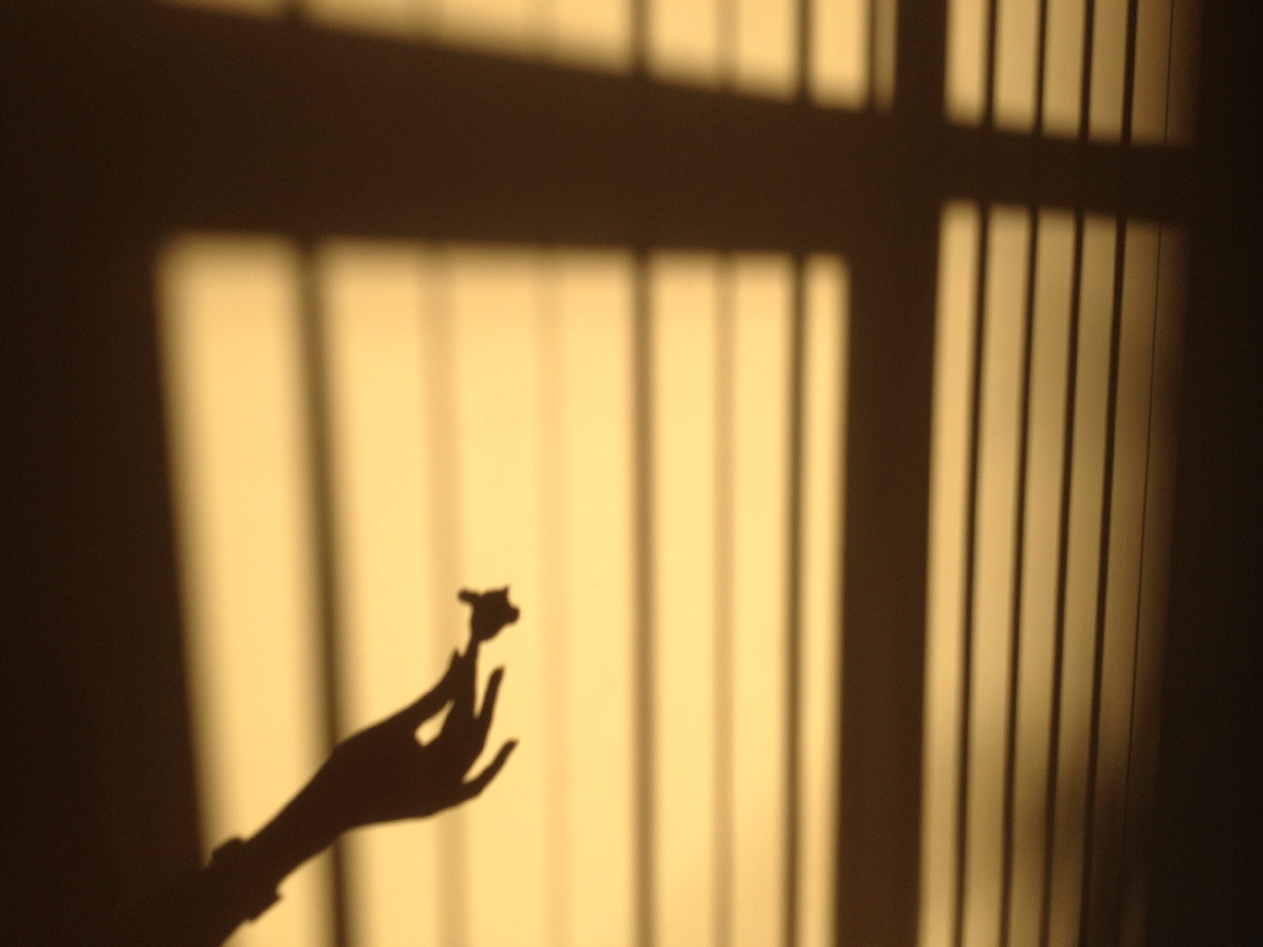 You are currently viewing Тень